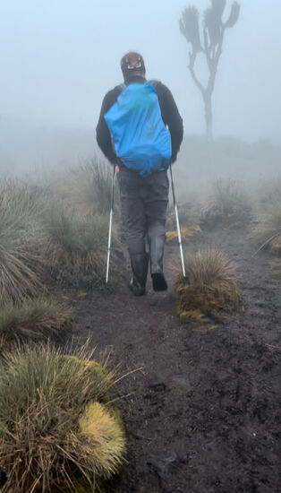 Hier wird es langsam heller. In der Dunkelheit waren wir nicht wirklich motiviert, Handy oder Kamera herauszuholen.