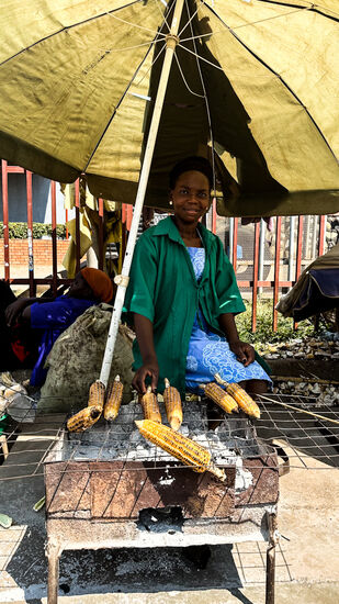 … auch vegetarisch …