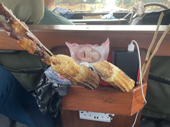 Wir haben zugeschlagen 