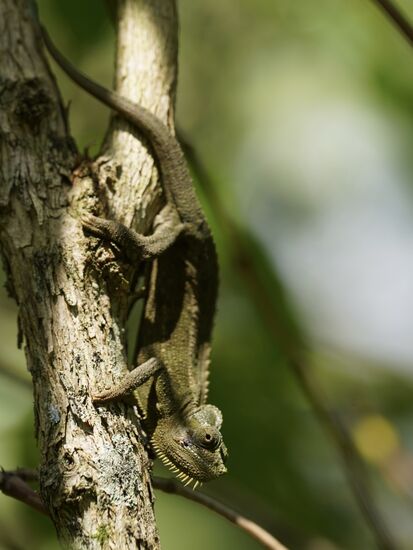 … und noch eins…