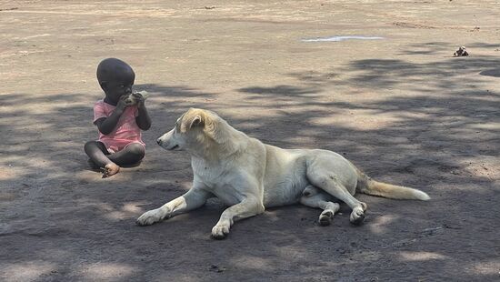 Der Kleine knabbert den Maiskolben in aller Seelenruhe…