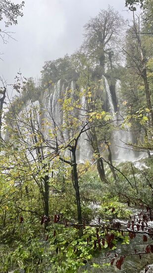 Hier kommen wir zum Höhepunkt des Parks