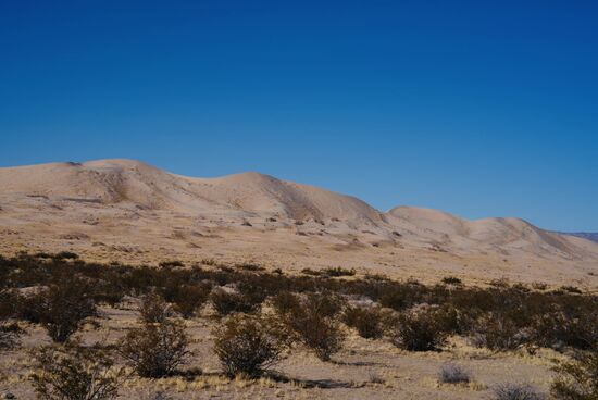 Hierbei handelt es sich um das größte Sanddepot der Mojave Wüste: die Dünen erstrecken sich über 120 km2.