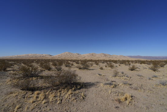 Der Wind hat über tausende von Jahren den Sand durch die Mojave Wüste vor sich hergetrieben und gegen die Berge angehäuft. So sind die Dünen entstanden.