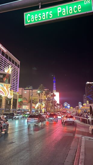 Der Hollywood Boulevard - die Straßen sind sehr voll, obwohl es sehr kalt ist.
