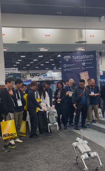 Sie gehen aber auch aufrecht und die Leute weichen doch etwas angstvoll zurück, wenn sie auf sie zugehen. Das bin ich aber auch….