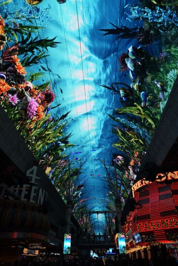 Auf einmal standen wir im Meer und waren von Fischen und Meerespflanzen umgeben…