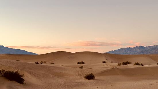 Nach einer guten Stunde befreien wir unsere Schuhe und Socken von unglaublichen Sandmengen
