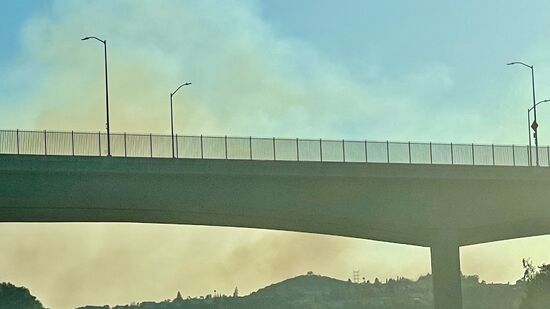 Auch der leicht beißende Geruch steigt in die Nase