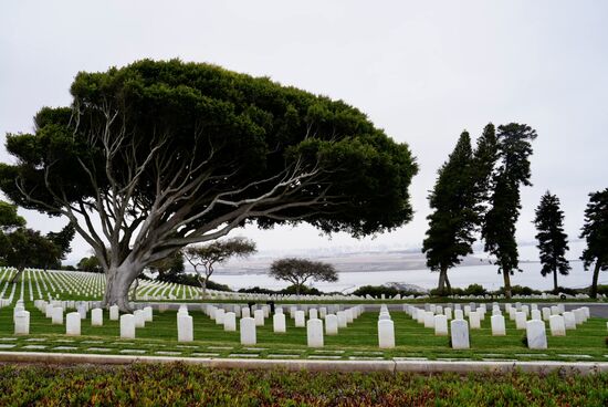 Schön, im Hintergrund das Meer