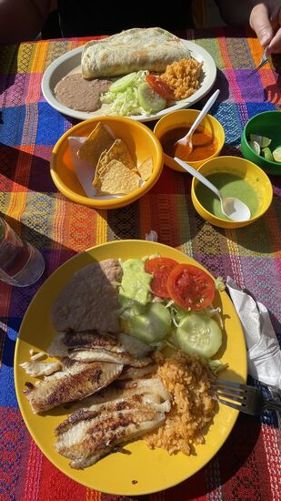 Ich wage mich an Fisch (schließlich sind wir nah am Meer) und Thomas bestellt sich Quesadilla mit Hähnchen. Dazu Sprite und Cola in Glasflaschen.
Alles schmeckt sehr lecker. Wir zahlen für alles 24 US$—sicher für hiesige Verhältnisse viel, aber wenn man von den USA kommt, lächerlich wenig.
Anmerkung: keiner spricht hier englisch!