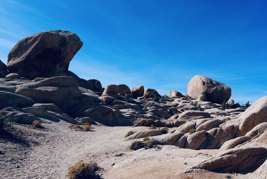 Wir besuchen zuerst den „Arch rock“ verbunden mit einem kleinen Trail