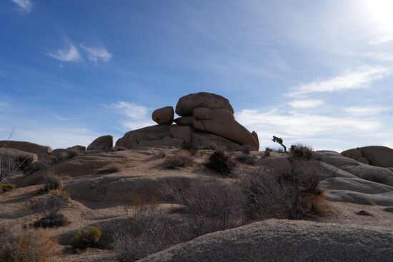 Außer den Joshua Bäumen bietet der Park interessante geologische Formen