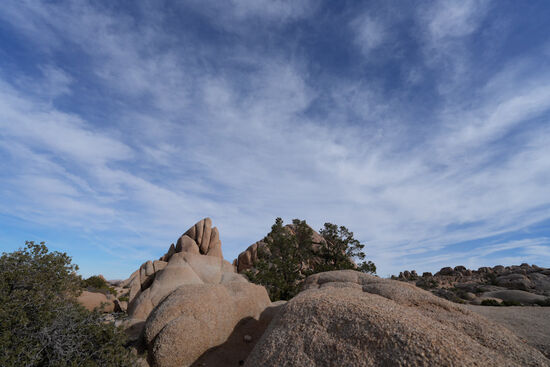 Kurios—wie manche aussehen..