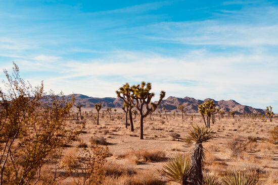 Die letzten Meter durch den Nationalpark…