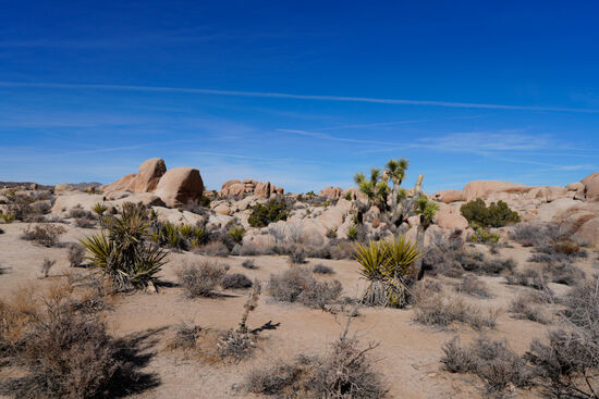 Wir wollen noch weiter bis zum höchsten Punkt, dem „Key view“ fahren—das zieht sich, da man ja im Park immer nur Max 60km/h fahren darf