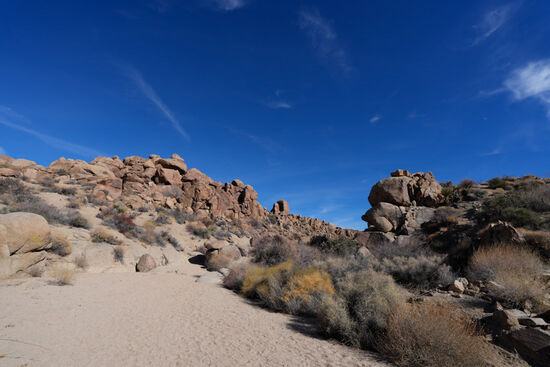 Das Wetter meint es auch heute gut mit uns. Strahlender Sonnenschein und Temperaturen zwischen 18 und 20 Grad Celsius.