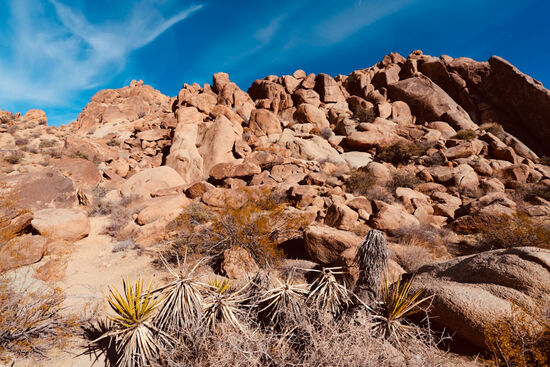 Es sind nur sehr wenige Wanderer hier unterwegs. Dich wenn jemand entgegenkommt, wird freundlich gegrüßt und ein Frohes neues Jahr gewünscht