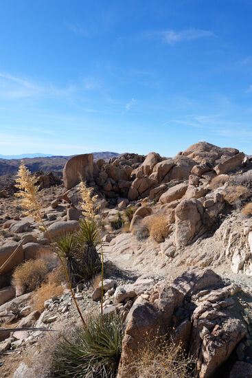Wir sind auf dem Rückweg. Die Landschaft bietet immer wieder neue Gesichter