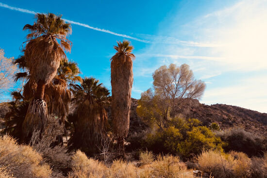 Zurzeit tritt kein Wasser ans Tageslicht. Zulange hat es nicht geregnet.