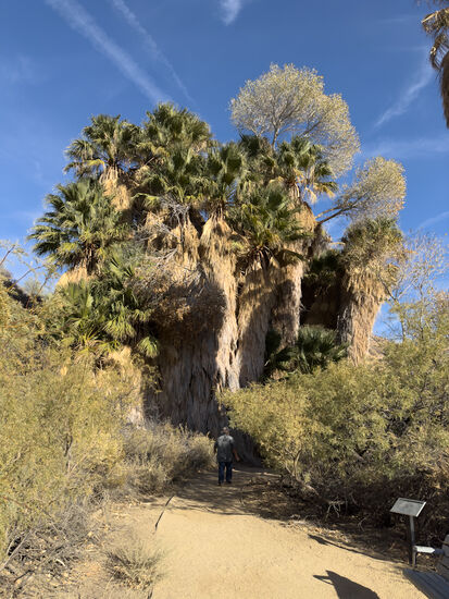 Hübsch anzusehen und doch so gigantisch.
Der Trail endet hier. Wir haben noch den knapp 1 km zu unserem Auto. Dort machen wir dann Rast.