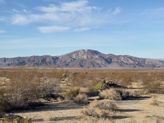 Wir fahren zurück nach Desert Hot Springs und sagen Good Bye Joshua Tree NP