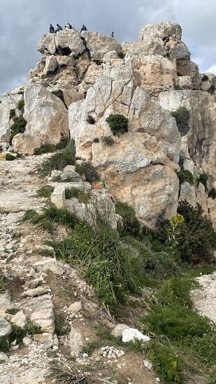 Da oben sind noch mehr Besucher....