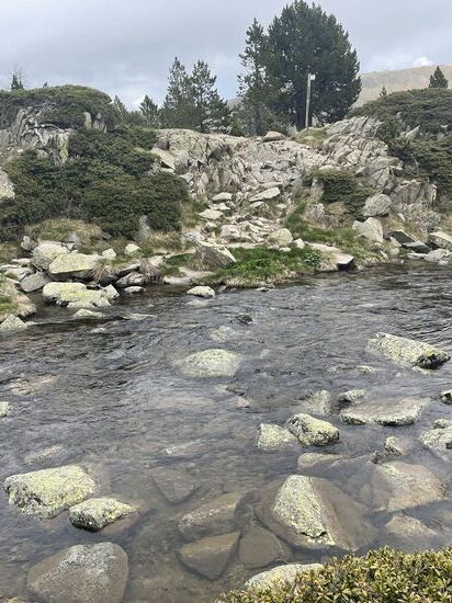 Hier ist ein besonders breiter , auch den müssen wir überqueren. Davon gibt es ein Video…