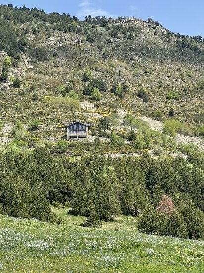 Die haben einen weiten Weg zu ihrer Unterkunft