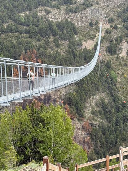 Ich gehe allein bis zum Ende