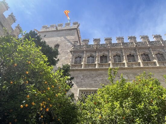 Der Entwurf dieses Gebäudes, stammt von einem ähnlichen Entwürfe aus Palma und wurde 1469 als Ölmarkt gegründet