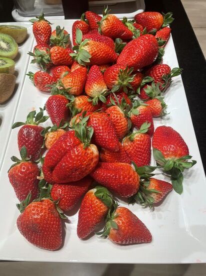 Hier in Spanien gibt es schon frische sonnengereifte Erdbeeren…