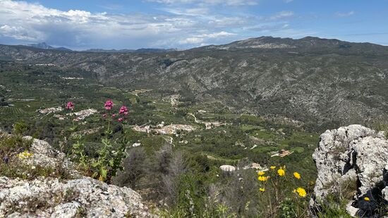 Hier blühen unzählige Blumen …