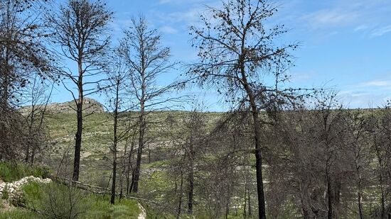 Ein Felsbogen ist zu sehen