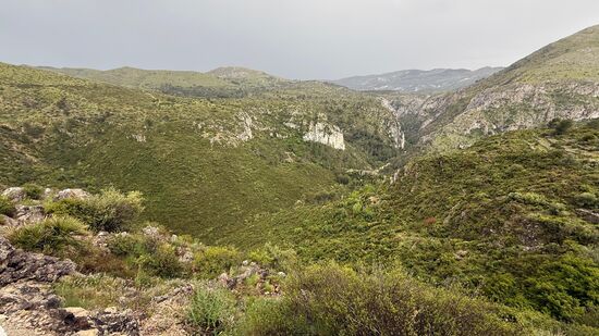 Am frühen Nachmittag gehr es wieder zurück