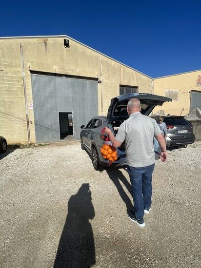 Ungespritzte saftige 5 kg Orangen zum essen 