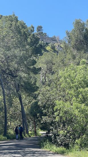 Wir haben nur eine knappe Stunde bis zu unserem Hotel in Xativa. Hoch über der Stadt thront das „Xativa Castell“