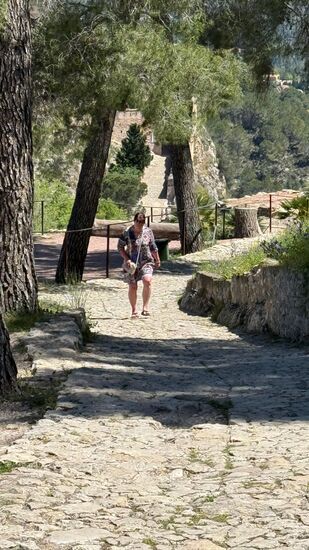 Eine gute halbe Stunde Fußweg hinauf zur Burg