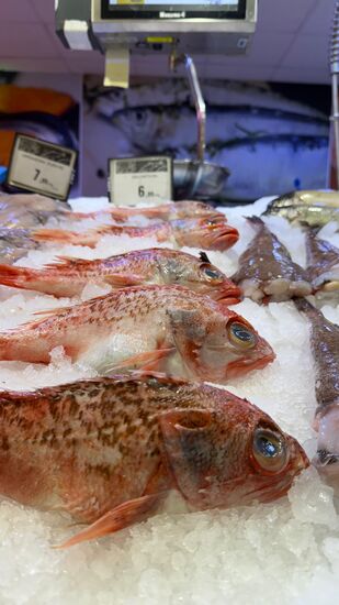 Au dem Weg zurück nach Xativa machen wir noch Halt und besuchen einen Supermarkt.