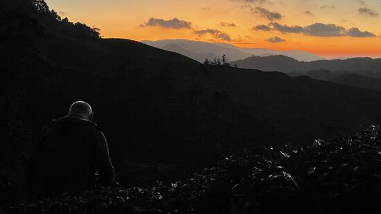 Mein Fotograf ist in seinem Element…