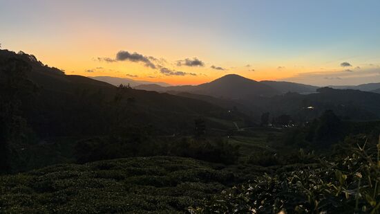 Langsam quält sich die Sonne aus ihrem Bettchen…