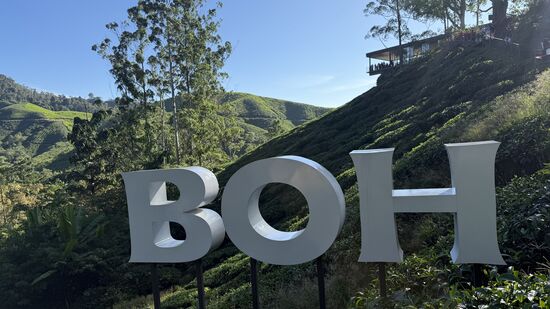 Boh bedeutet auf Mandarin: kostbares Glück. Diese Teeplantage beziehungsweise Fabrik besteht seit 95 Jahren und ist die grösste und bekannteste Malaysias.