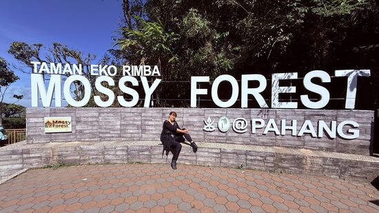 Eingang vom „Mossy Forest“ 
Eintritt kostet 30 MYR p.Person