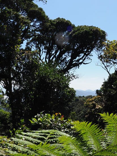 …von den Plattformen hat man tolle Aussichten….