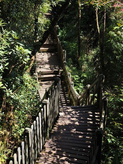 …durch den man auf Holzstegen geht…
