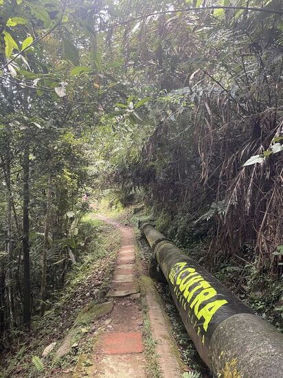 Hier durch den Dschungel führt die 60km Tour—