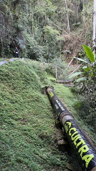 …wir treffen immer wieder einige, die schon SEHR erschöpft sind