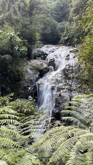 Das ist der „Robinson Waterfall“ —nicht sehr spektakulär, aber der Weg war sehr schön und die netten Begegnungen mit einigen Läufern sehr nett!