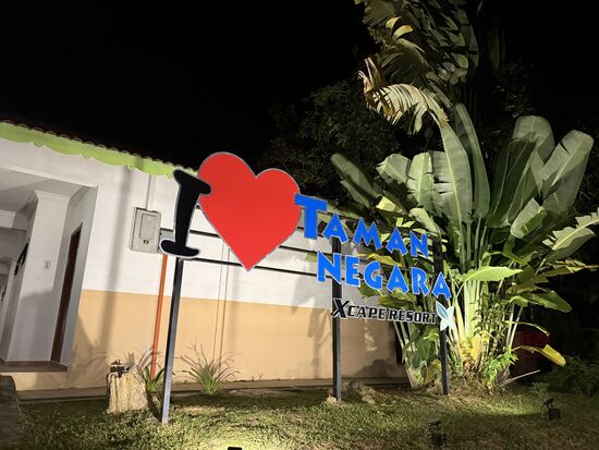 Nach einer knappen Stunde sind wir durch und wieder zurück in unserem Resort-Begleitet von den Urwaldgeräuschen, aber übertönt vom Rauschen der Klimaanlage schlafen wir ein 