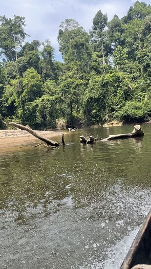 Gegen 14.30 Uhr beginnen wir unsere gebuchte Kanutour-eigentlich hatten wir ein Boot für uns allein gebucht und bezahlt, nun wurden aber noch 2 weitere dazugesetzt-das reklamieren wir sofort
